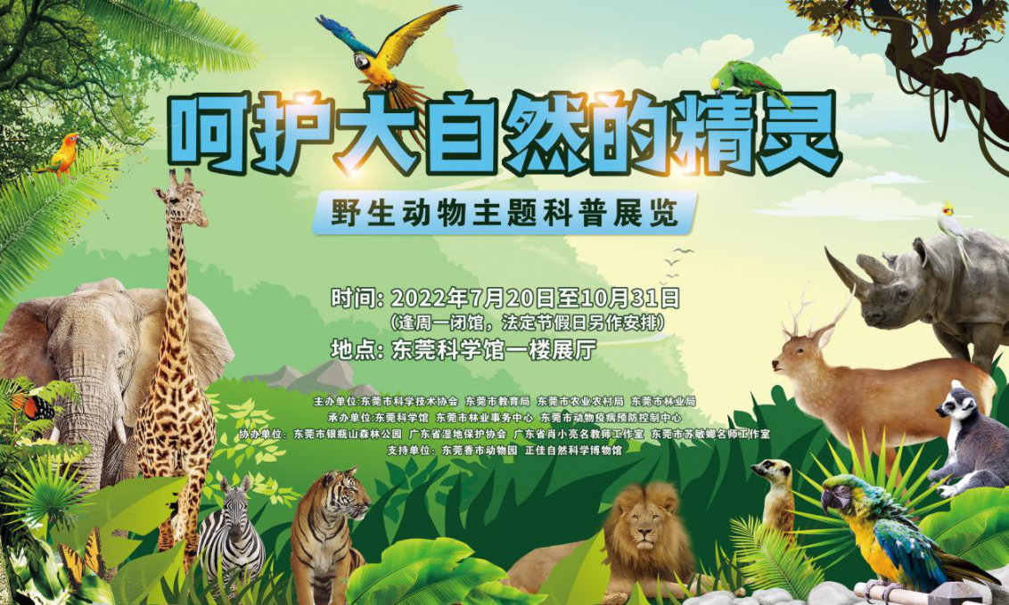 呵护大自然的精灵——野生动物主题科普展览