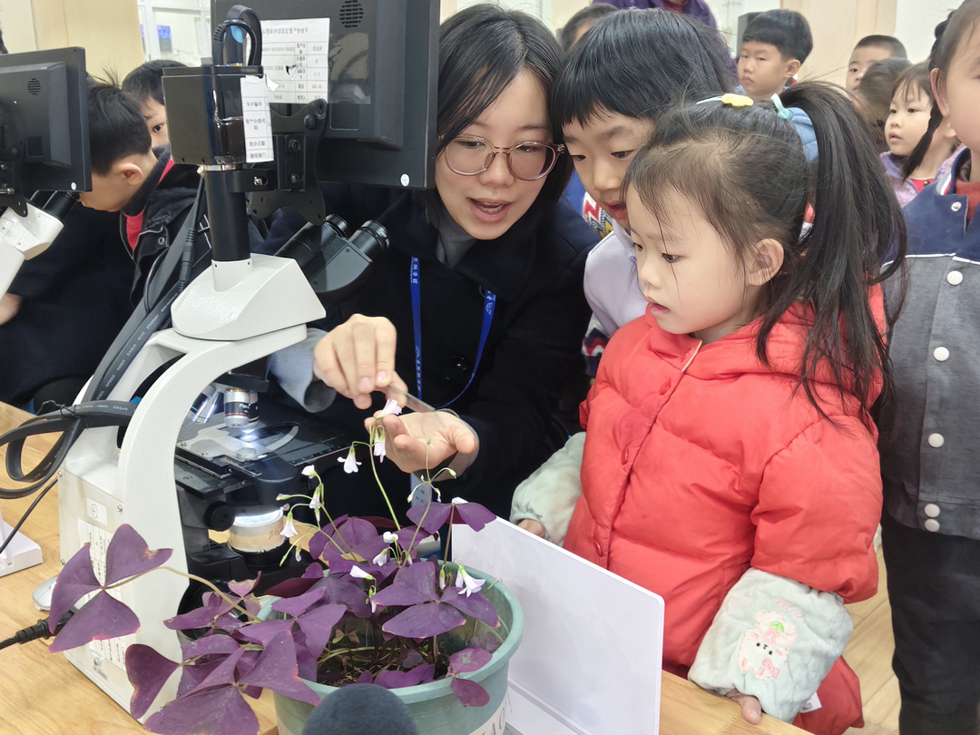 科学工作坊-细胞里的生命环流