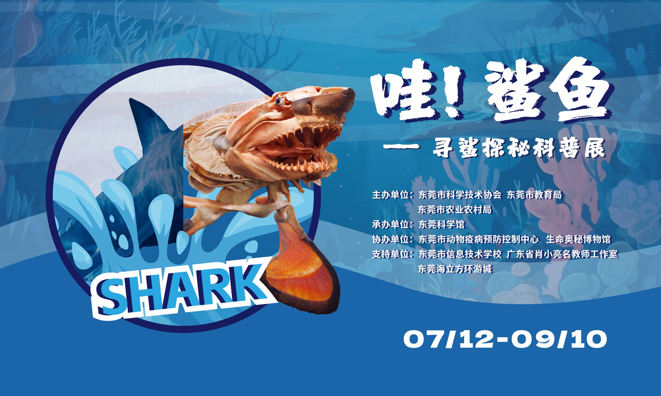“哇！鲨鱼”——寻鲨探秘科普展
